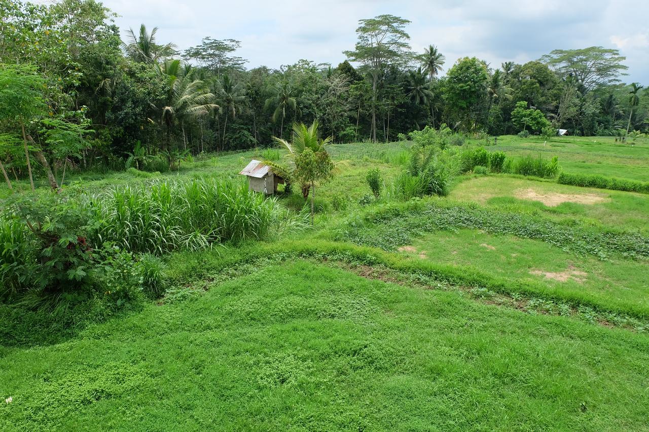 The Rana Villa Tegallalang  Bagian luar foto