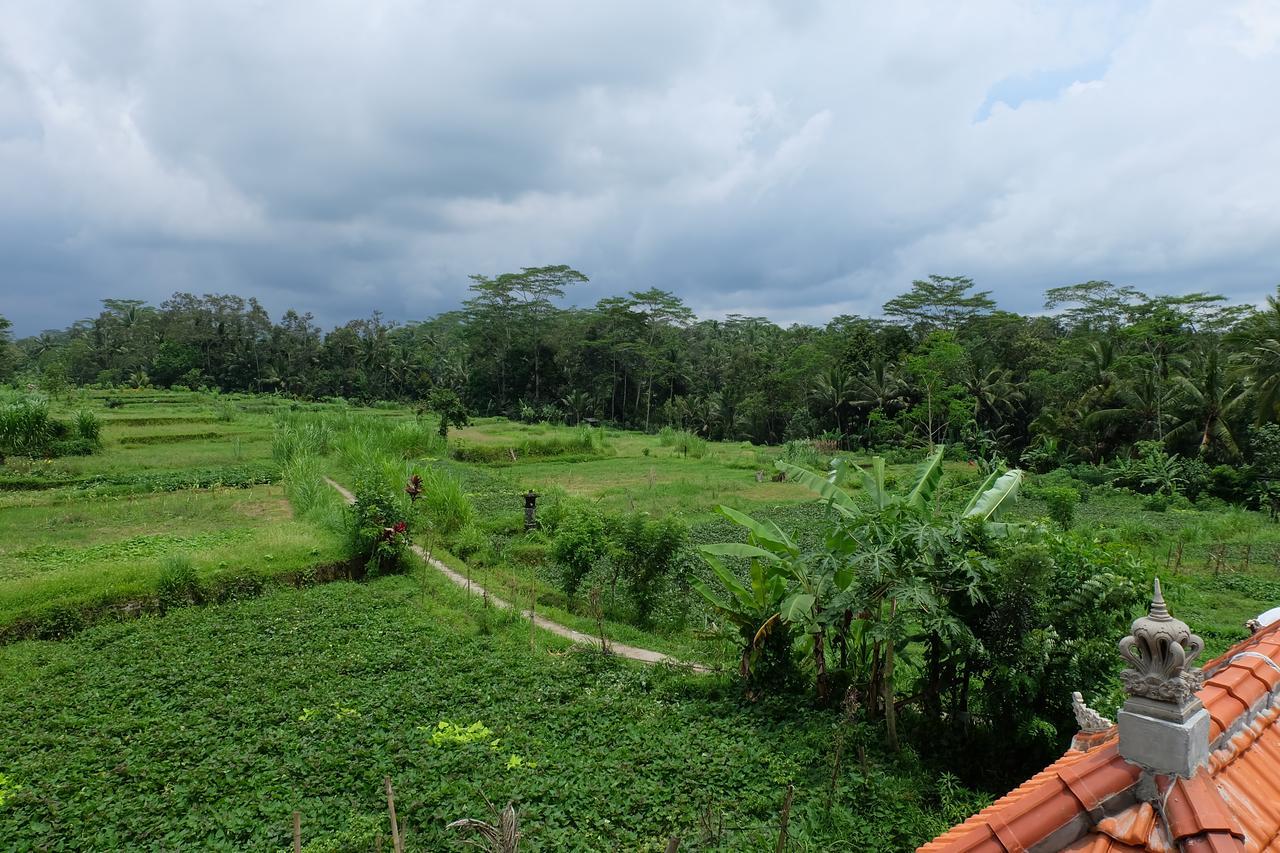 The Rana Villa Tegallalang  Bagian luar foto
